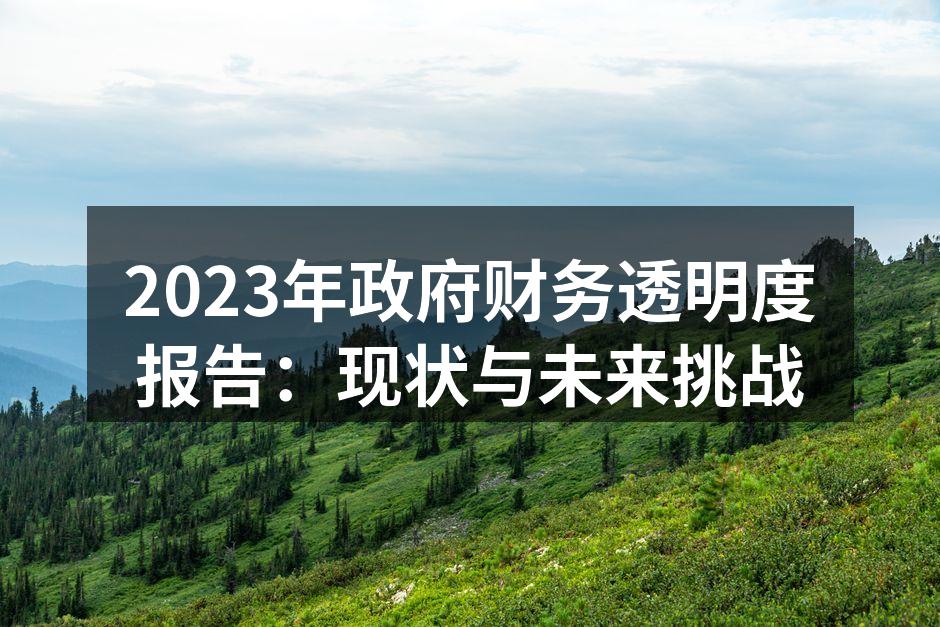 2023年政府财务透明度报告：现状与未来挑战